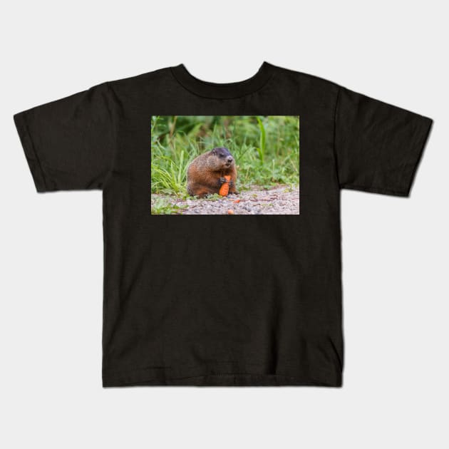 The Beaver feeding on a carrot Kids T-Shirt by josefpittner